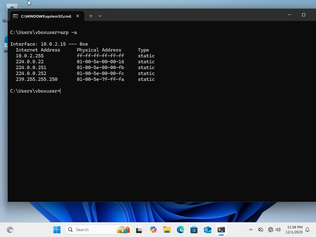 Ping to domain failing